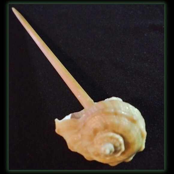 Shell Hairstick - Picture 1 of 2